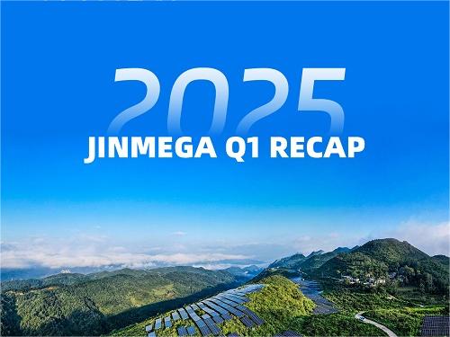 2025 Q1 JinMega Recap