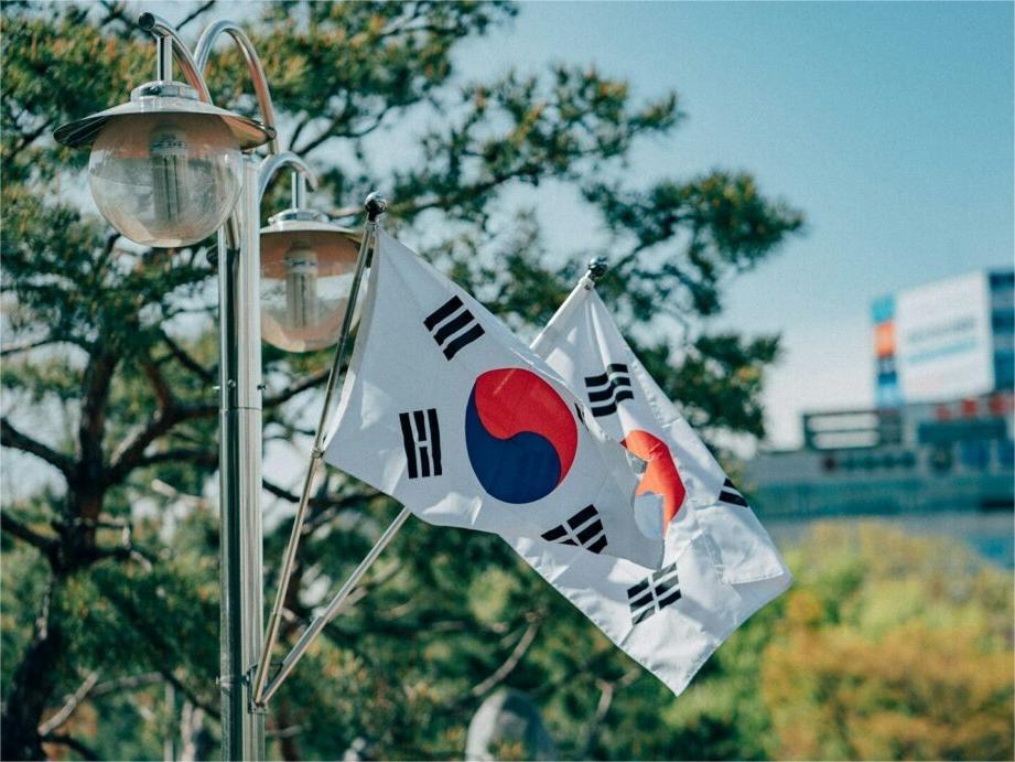 South Korea Launches 1 GW Solar Tender Ahead of RPS Reform